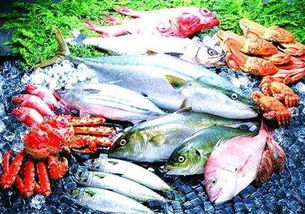 山东威海水产品市场鲫鱼价格同比下降 后市有望回暖