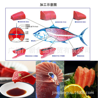 【超低温远洋蓝鳍金枪鱼 远洋原整条冰鲜金枪鱼 冷冻水产品】价格,厂家,批发,低温冰箱