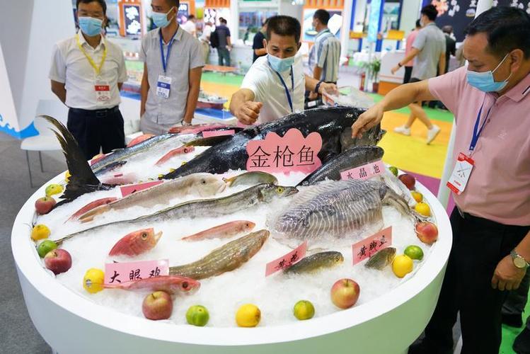 广州渔博会开幕,去年广东水产品总产量居全国第一